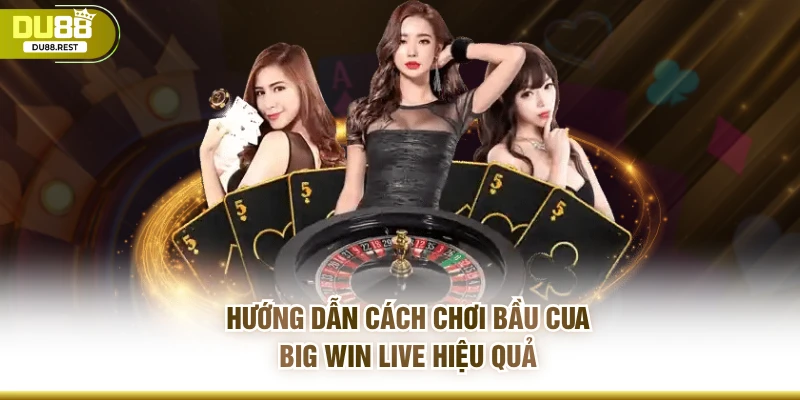 Hướng dẫn cách chơi bầu cua big win live hiệu quả